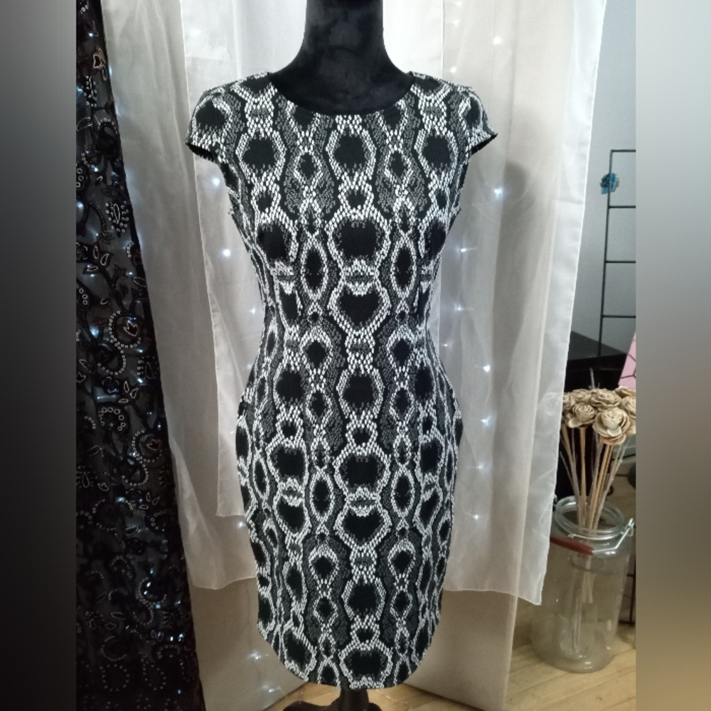Joseph Ribkoff Size 8 pullover dress.